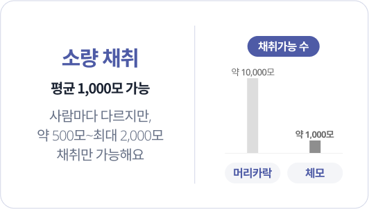 [소량 채취] 평균 1,000모 가능 / 사람마다 다르지만, 약 500모 ~ 최대 2,000모 채취만 가능해요