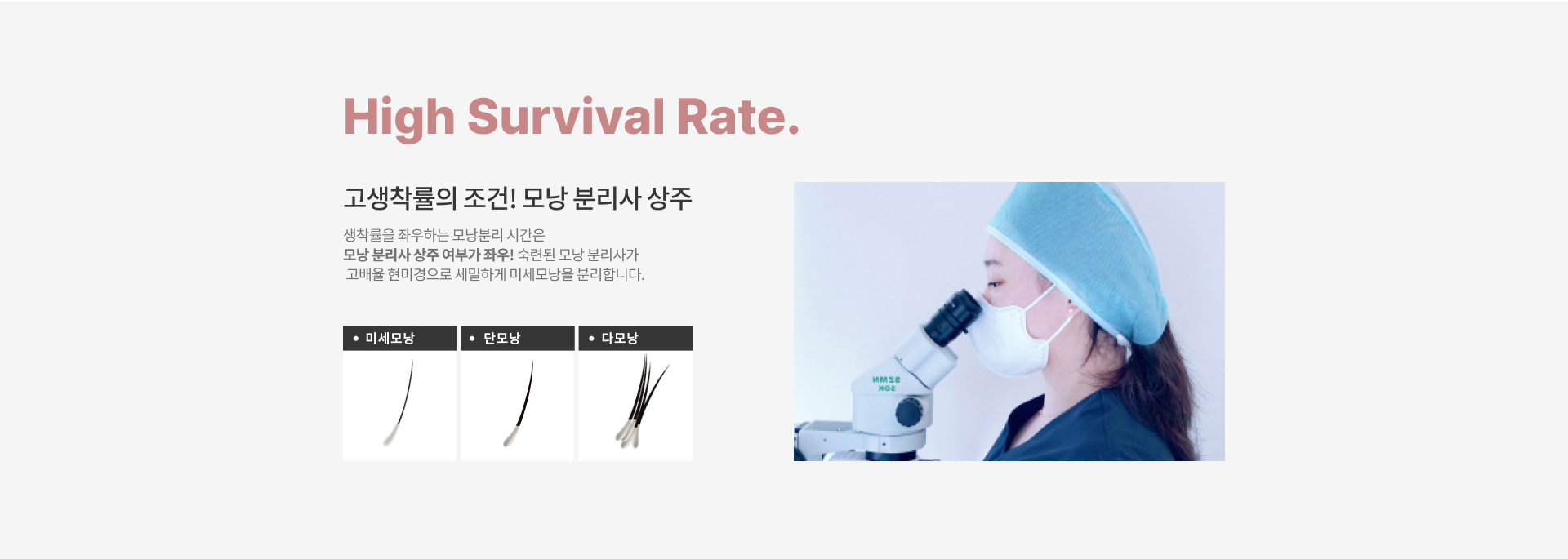 High Survival Rate. '고생착률의 조건! 모낭 분리사 상주' 생착률을 좌우하는 모낭분리 시간은 모낭 분리사 상주 여부가 좌우! 숙련된 모낭 분리사가 고배율 현미경으로 세밀하게 미세모낭을 분리합니다. 예시) 미세모낭, 단모낭, 다모낭